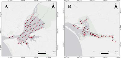 Spatial and Temporal Variations of Cockle (Cerastoderma spp.) Populations in Two Portuguese Estuarine Systems With Low Directed Fishing Pressure